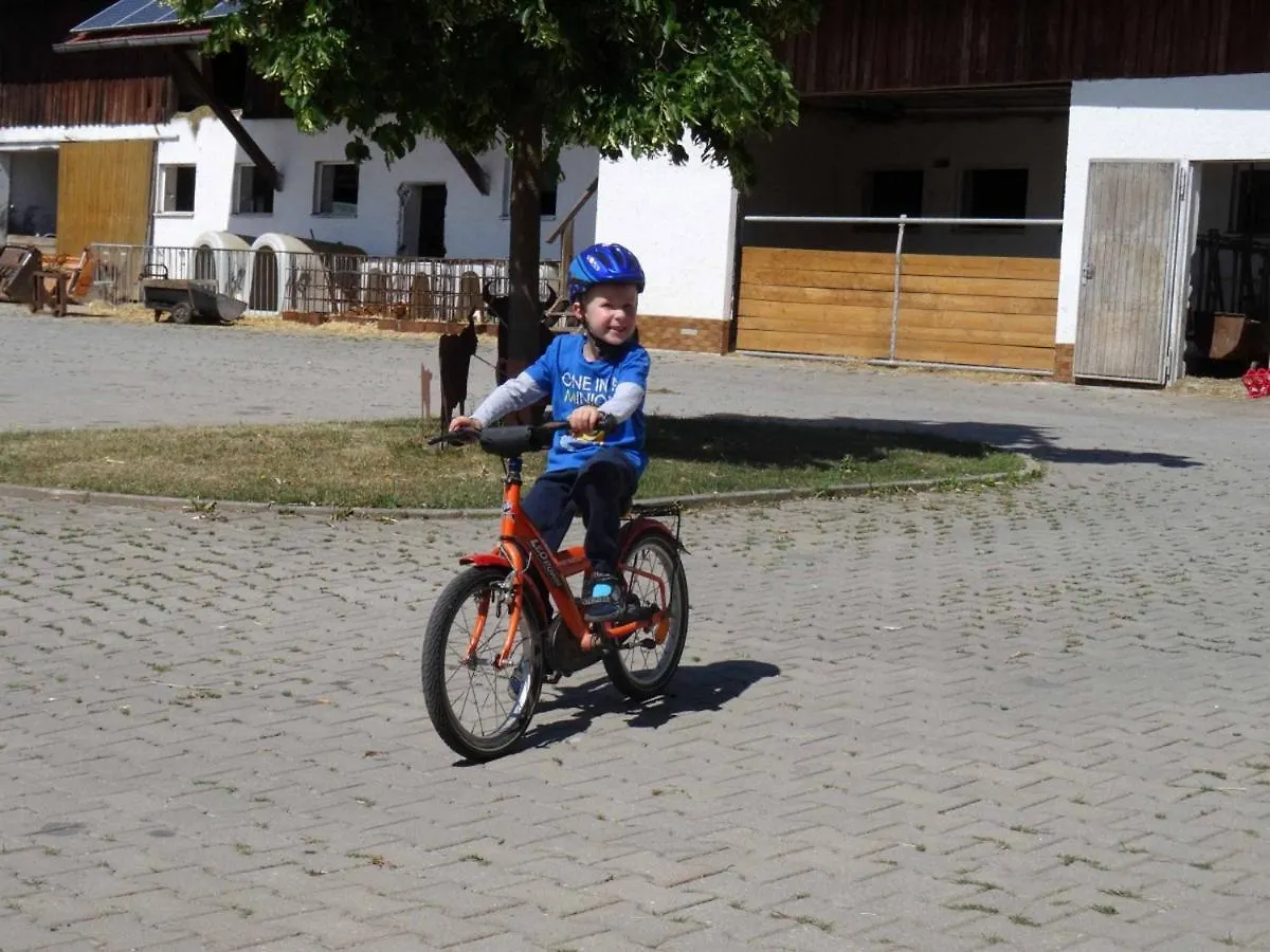 Farm stay Bauernhof Nissl Villa Neunburg vorm Wald