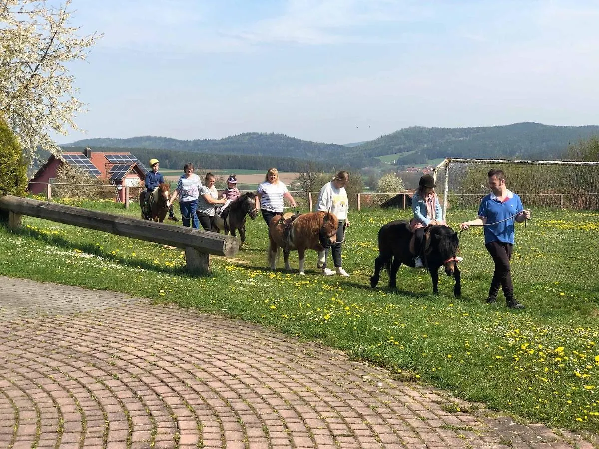 Bauernhof Nissl Villa Neunburg vorm Wald Farm stay